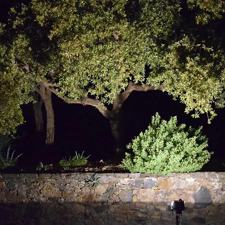 Belle Dans Un Parc Prive.
