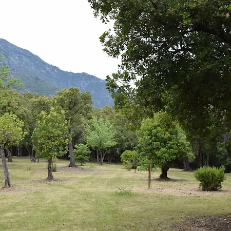 Belle Dans Un Parc Prive. Villa Cervione