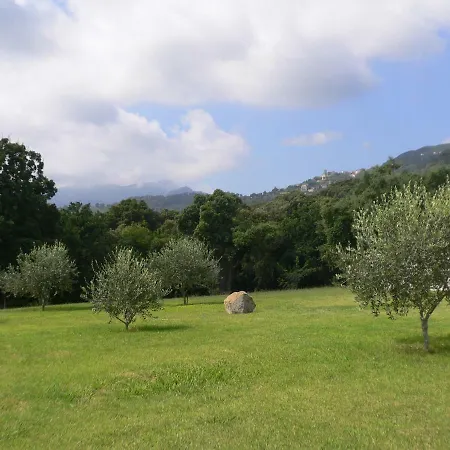 Belle Dans Un Parc Prive. Villa Cervione